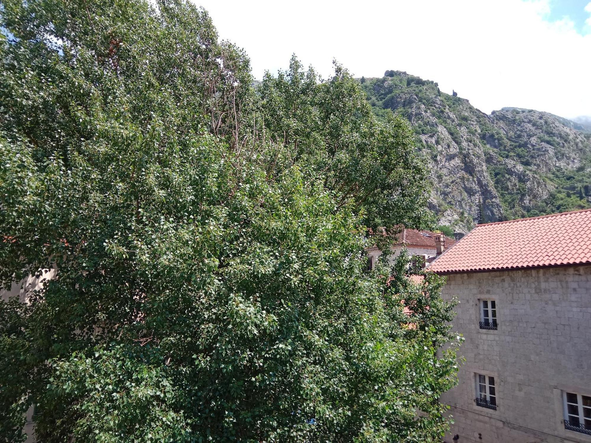 Centar Starog Grada Apartment Kotor Exterior photo
