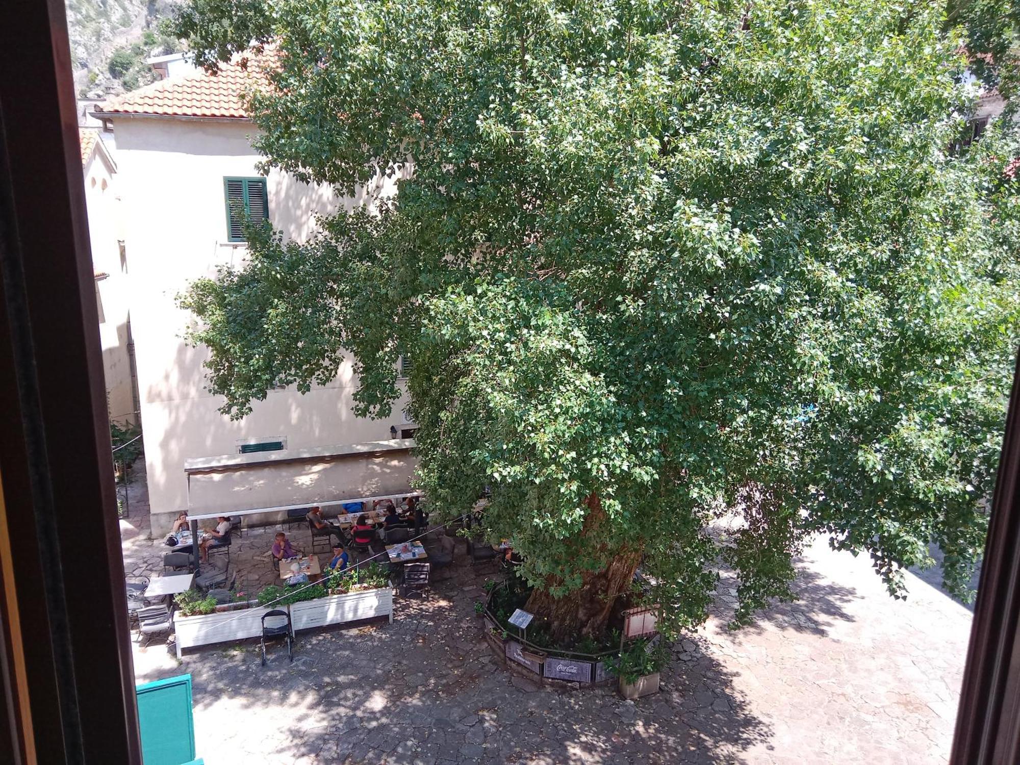 Centar Starog Grada Apartment Kotor Exterior photo